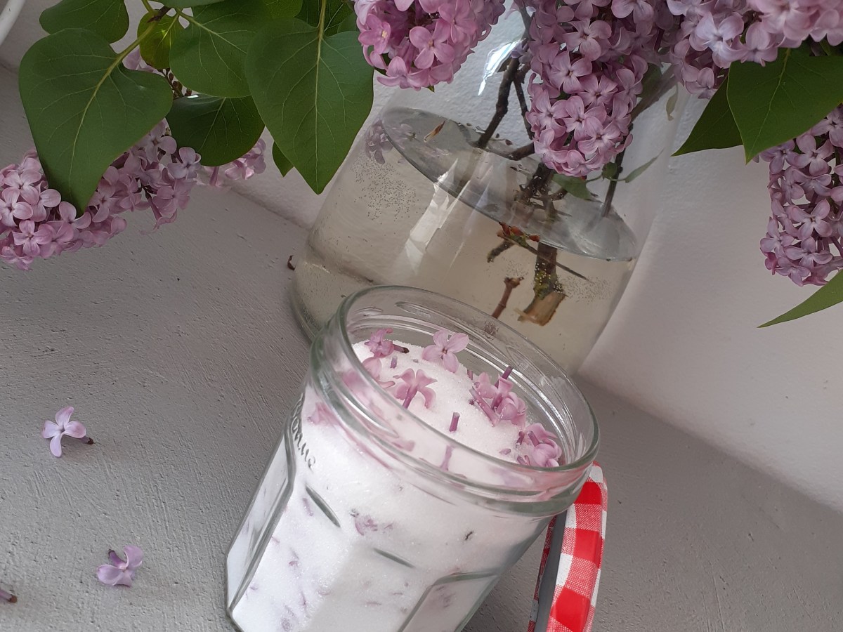 Sucre de lilas et&nbsp;infusion